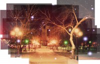 /album/kokshjetau/a08082024-jpg/